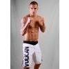 Vulkan VT-X Fight Shorts (White)