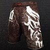 Demon Fightwear Paymon MMA Shorts